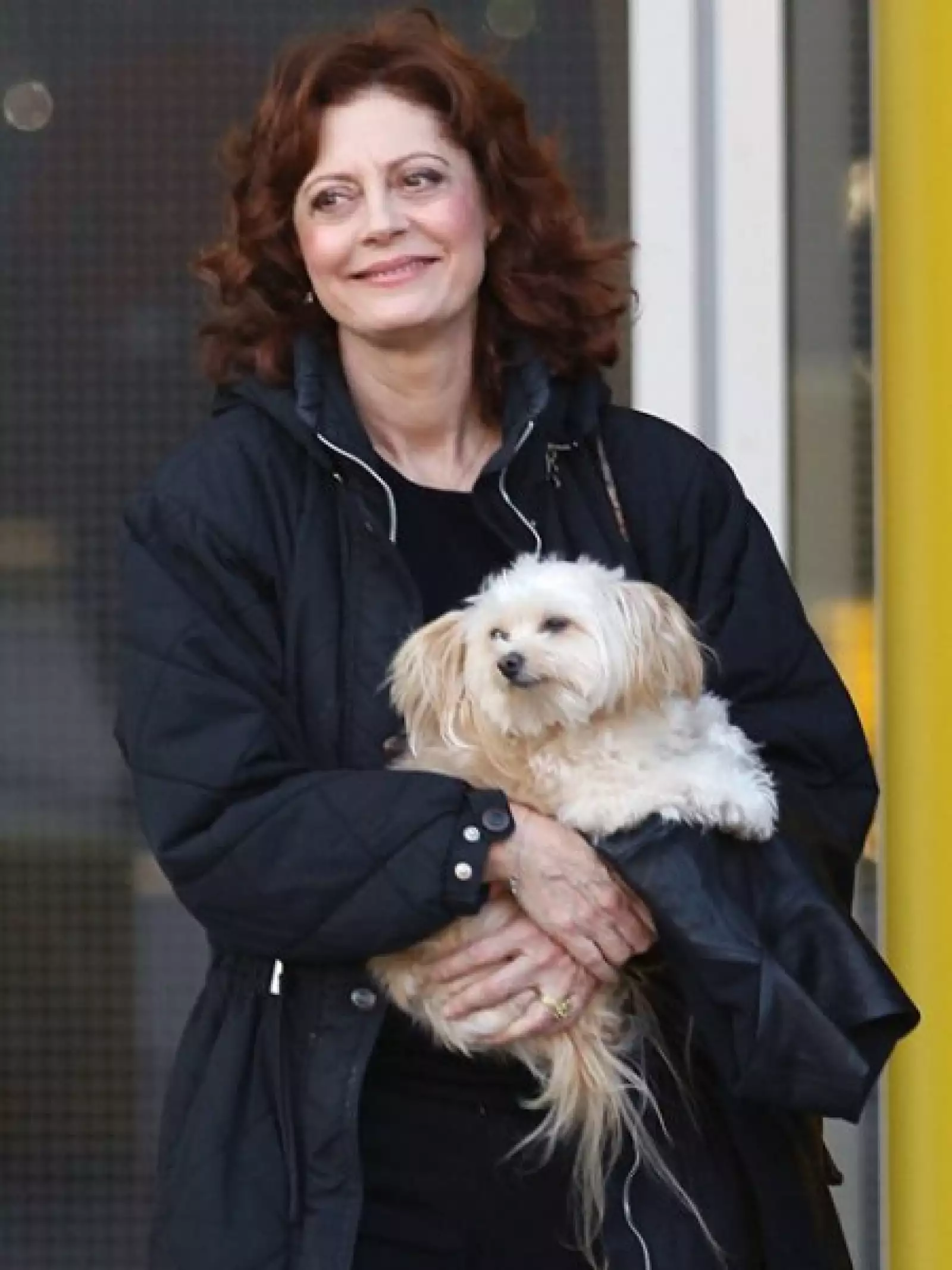 Susan Sarandon y su perrita Penny, una pomeranian maltesa.
