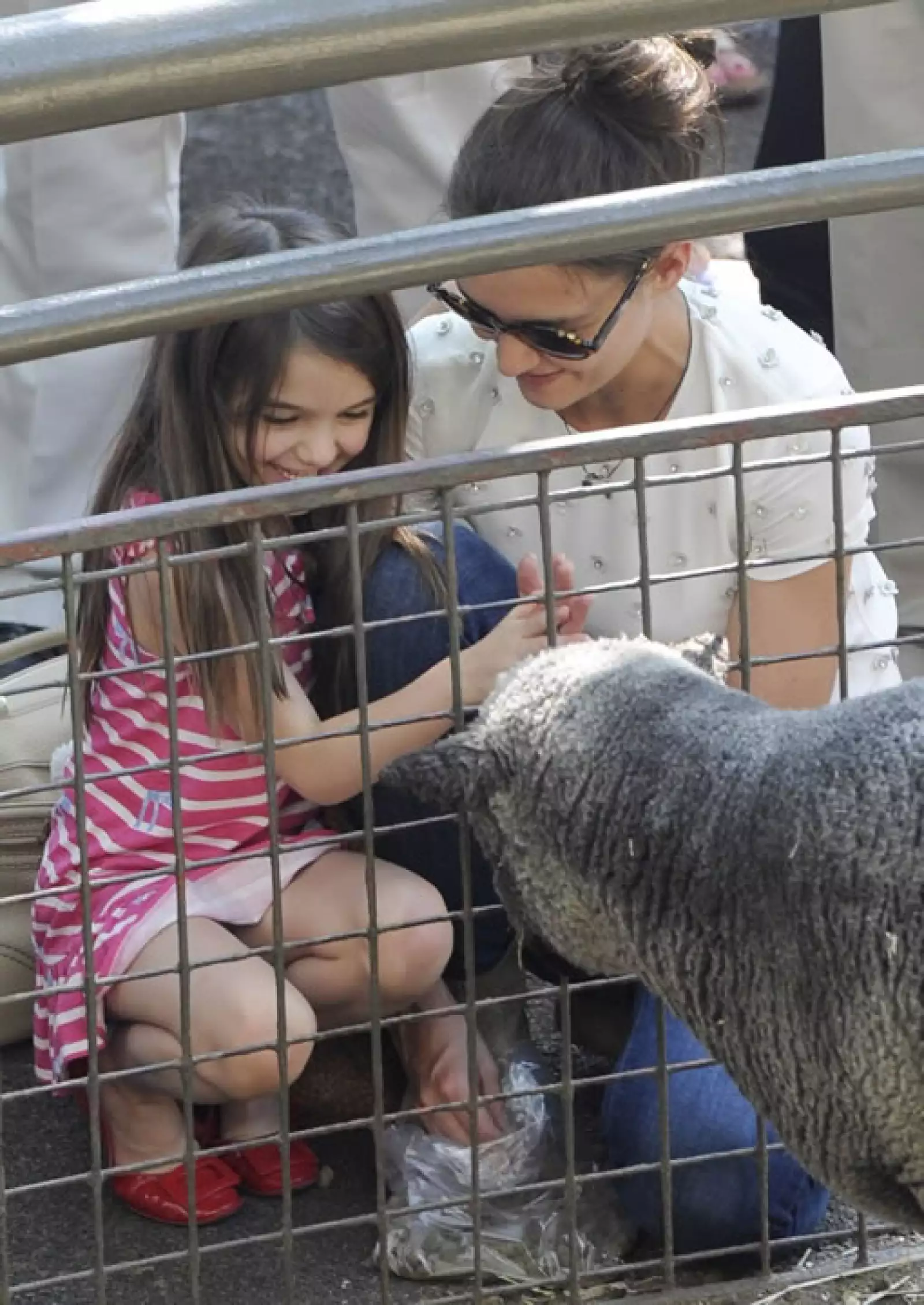 Inclusive tocó algunos animales.