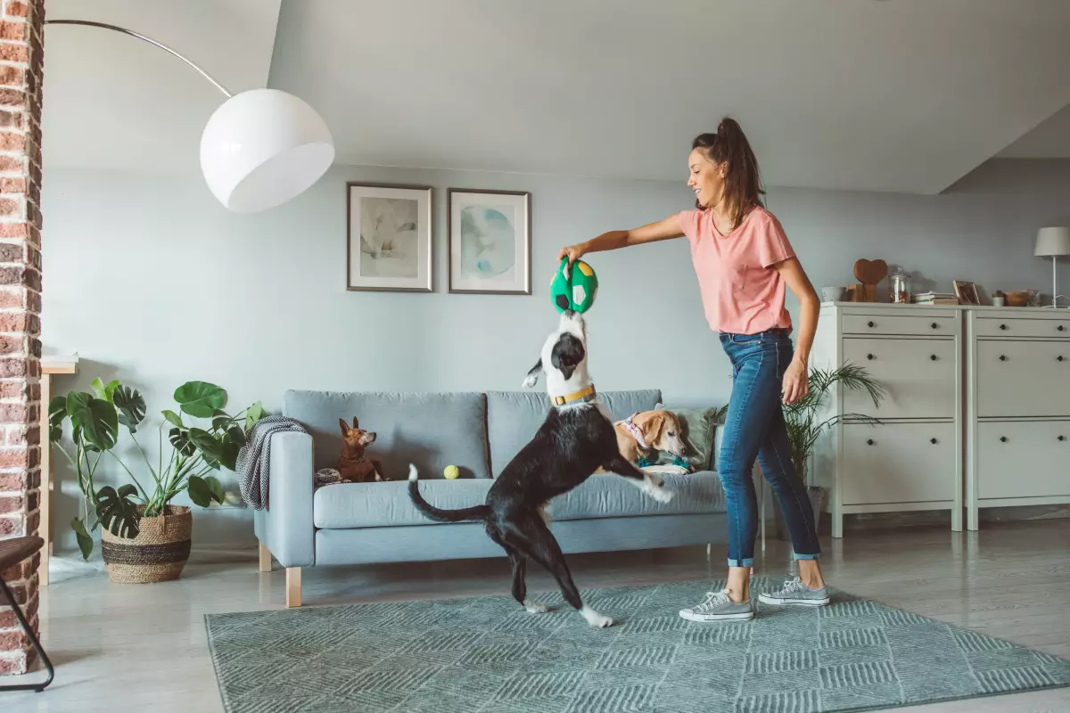 Espacio para mascotas en viviendas 