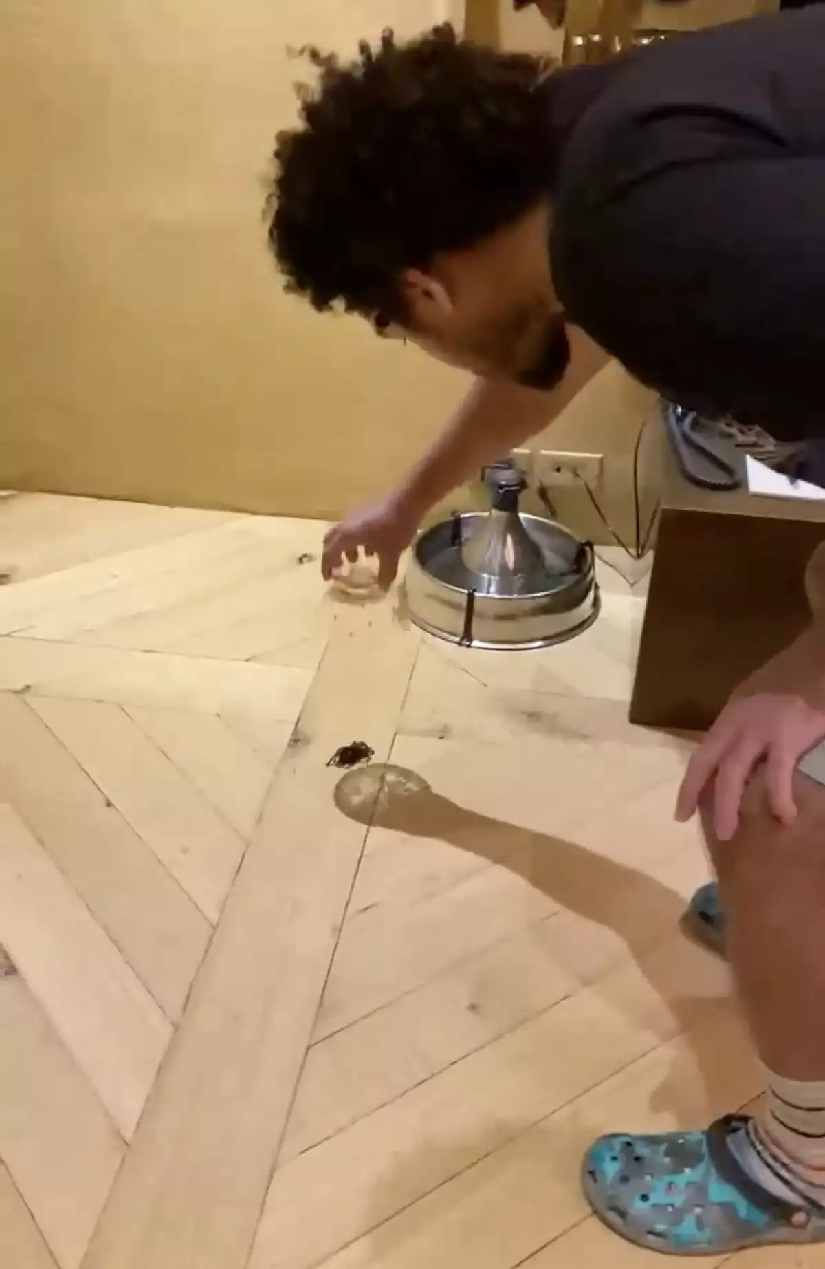 Will Smith regresa a Instagram y atrapa una tarántula junto a su hijo Trey