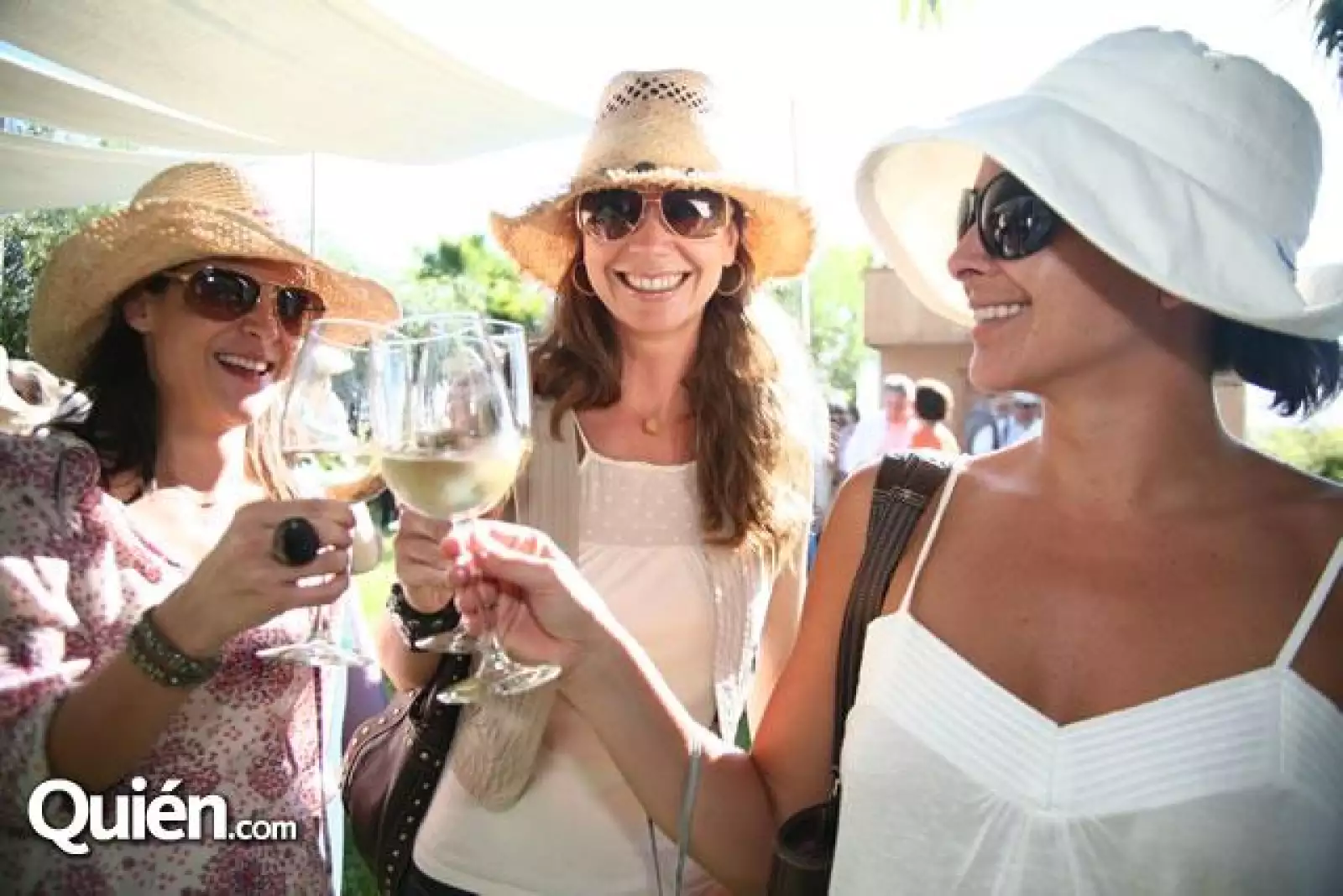 Vendimia Monte Xanic