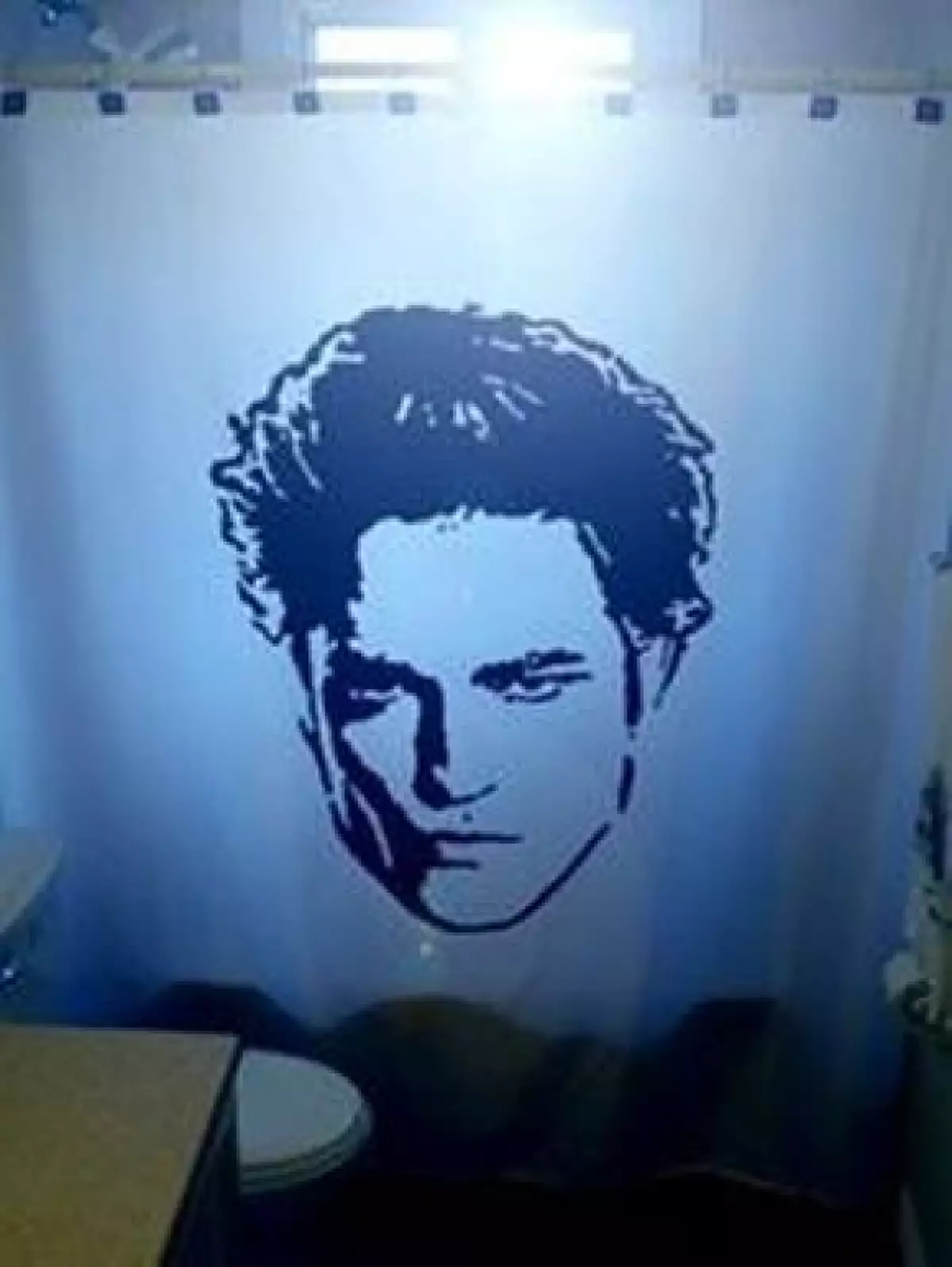 Finalmente el sueño de muchas se hará realidad, al menos en parte, y es que una empresa canadiense lanzó al mercado una cortina de baño con la imagen del famoso vampiro de la saga de Crepúsculo.