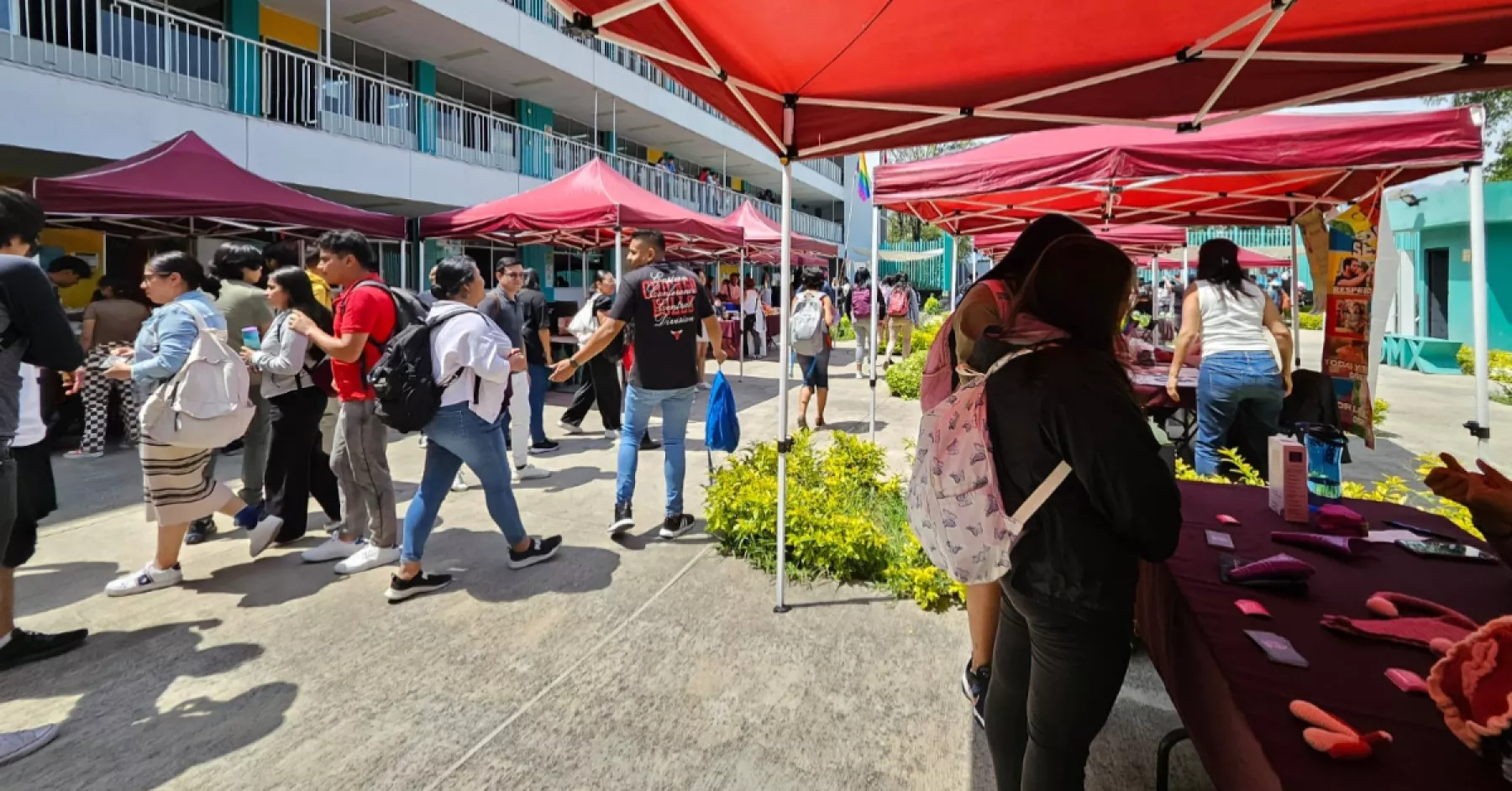 Convocatoria de la Universidad Rosario Castellanos: requisitos y cómo inscribirse