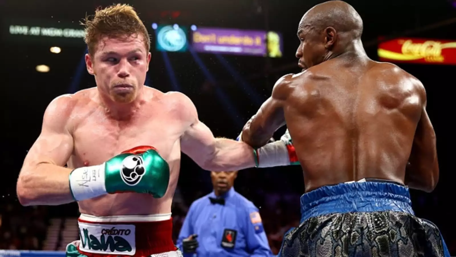 canelo vs mayweather6