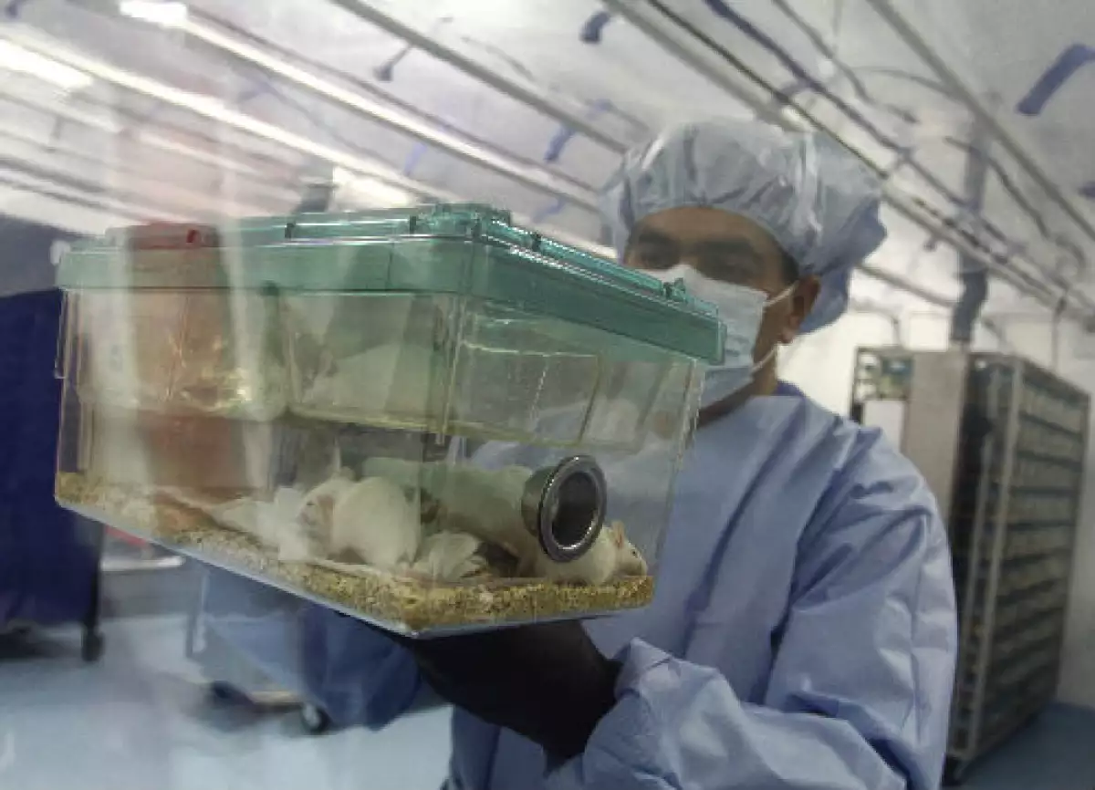 investigador laboratorio Cinvestav