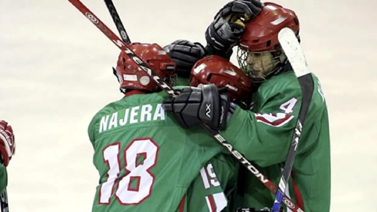 Hockey sobre hielo