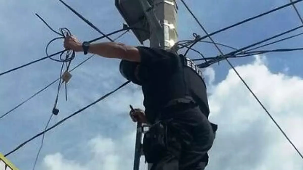 camaras vigilancia