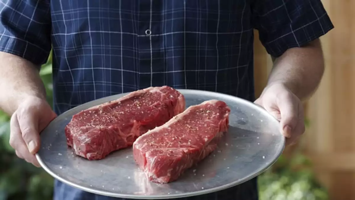 carne estudio