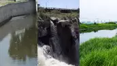 Estos son los tres ríos más contaminados de México y que Sheinbaum busca limpiar