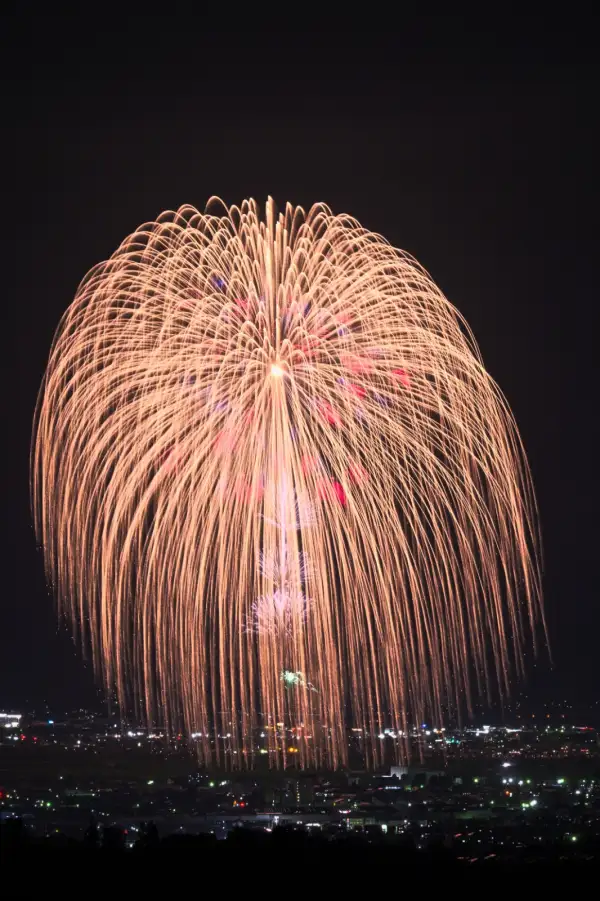 Fuegos artificiales sobre una ciudad. 