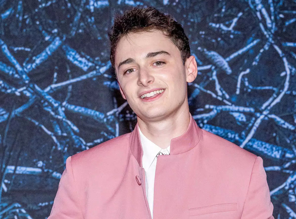 Noah Schnapp, de 'Stranger Things', revela ser gay pelo Tiktok