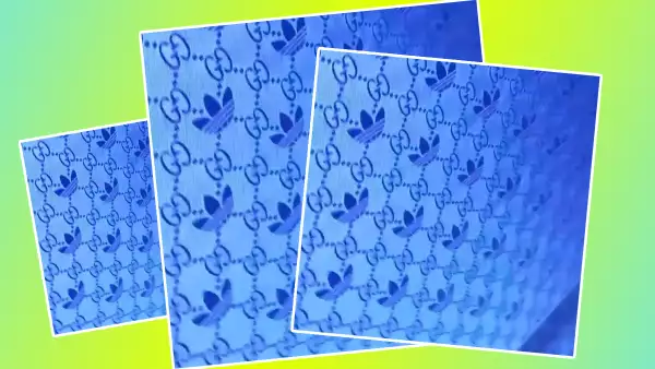 gucci adidas colaboracion