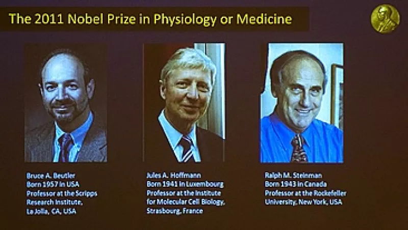 Nobel Medicina 2011
