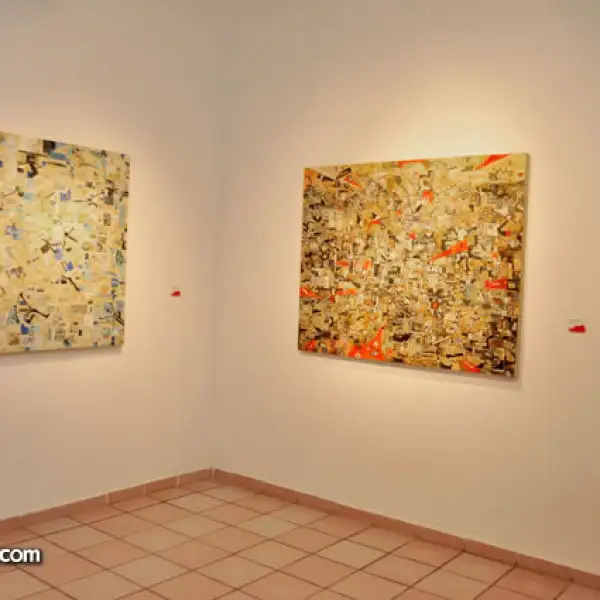 Galería Amapola Siete
