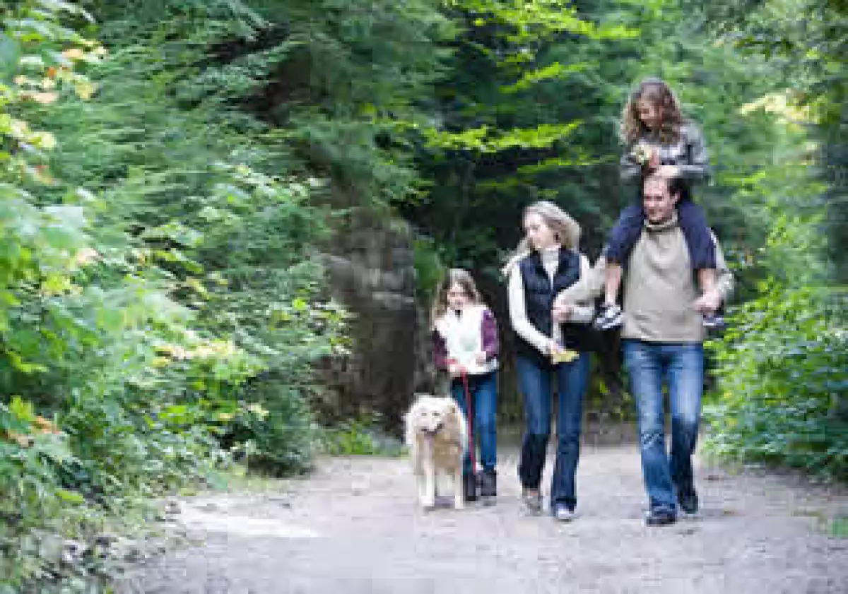La deuda de las familias de EU cayó 1.75% a tasa anual en el segundo trimestre. (Foto: Jupiter Images)