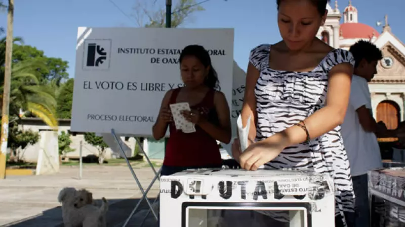 elecciones 2010 oaxaca votantes