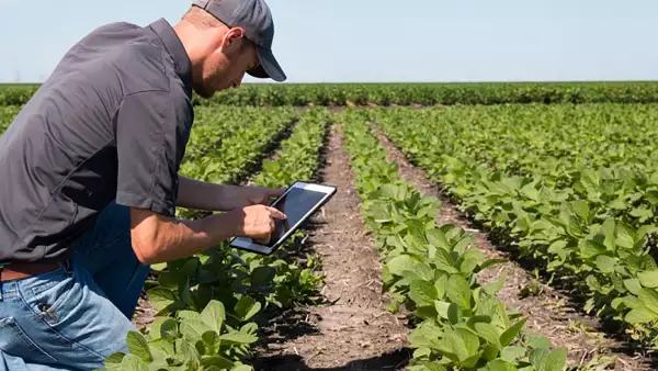México, potencia agroalimentaria