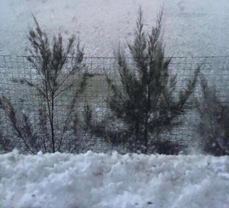 Potrillo posteó esta imagen desde Guadalajara.