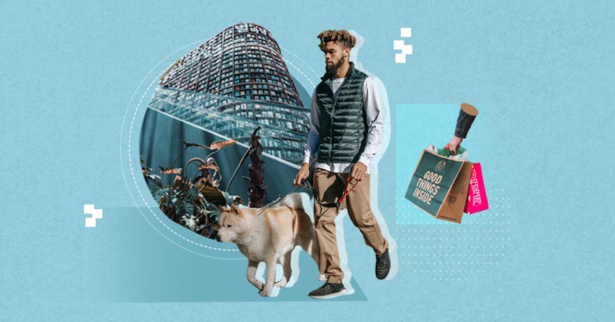 Pet friendly shopping centers in CDMX that you can visit with your dog Pet friendly shopping centers in CDMX that you can visit with your dog