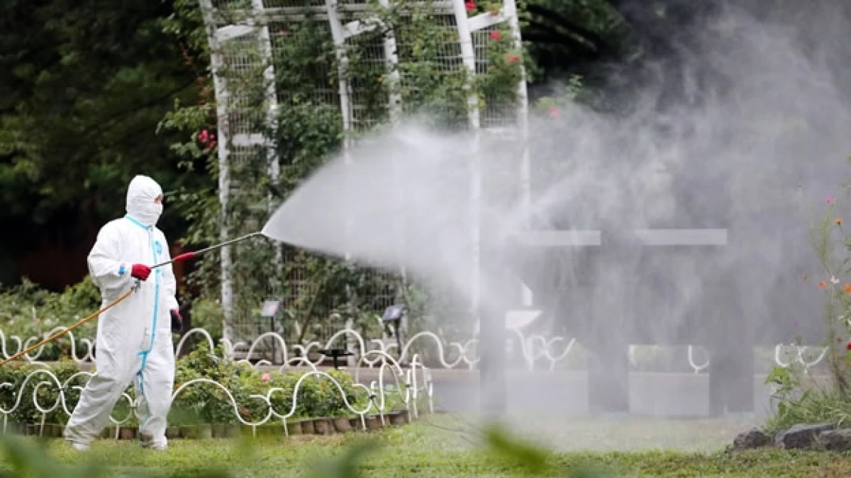 Un hombre fumiga el parque Yoyogi Park