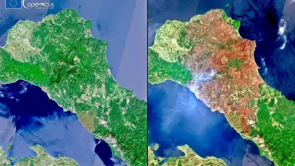 incendios forestales grecia 