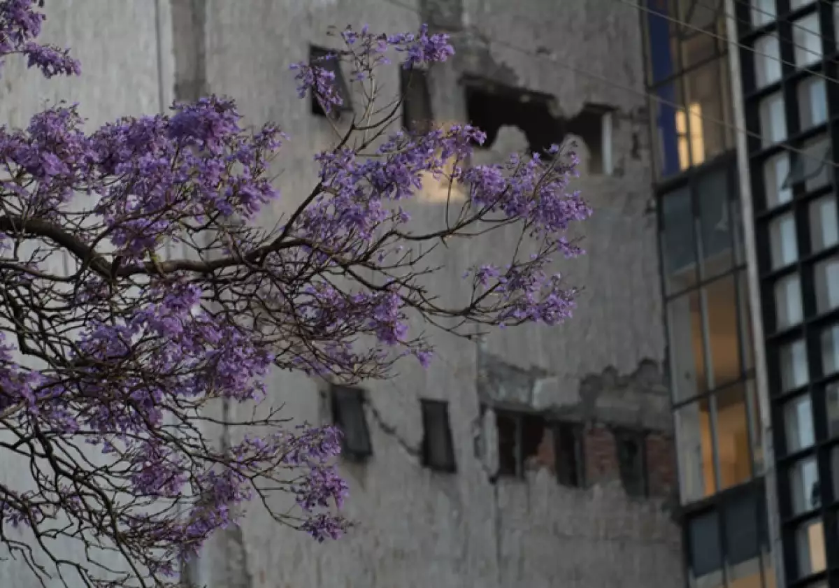 edificio-19s-condesa