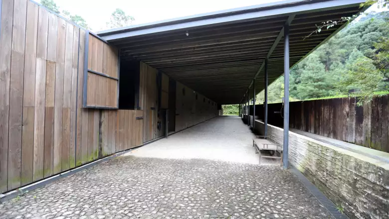 Rancho