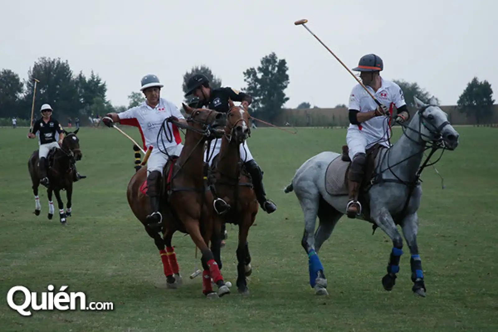Partido de Polo