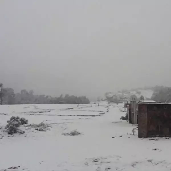 El acceso a La Marquesa y al Ajusco fue cerrado este miércoles a causa de la lluvia, dijo el secretario de Protección Civil de la Ciudad de México.