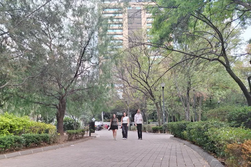 árboles contra islas de calor