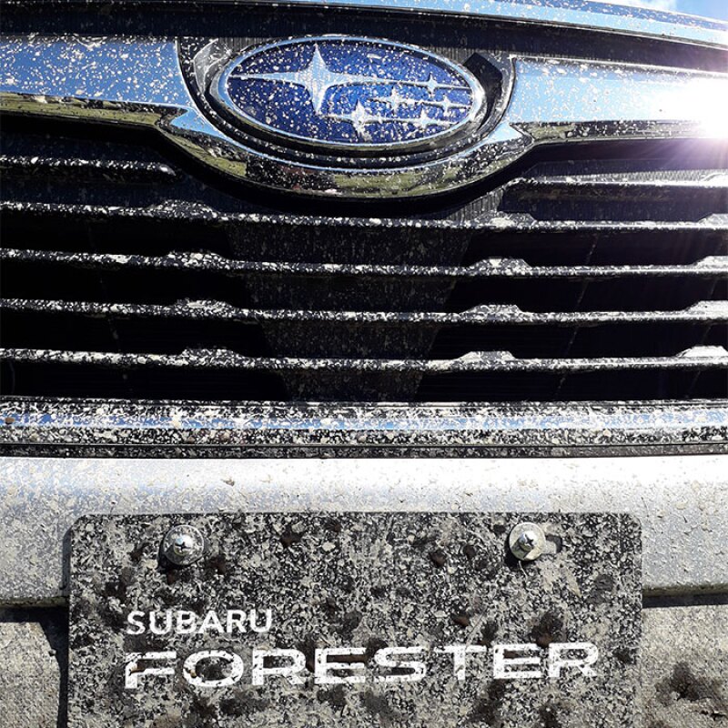 Subaru Forester 2019