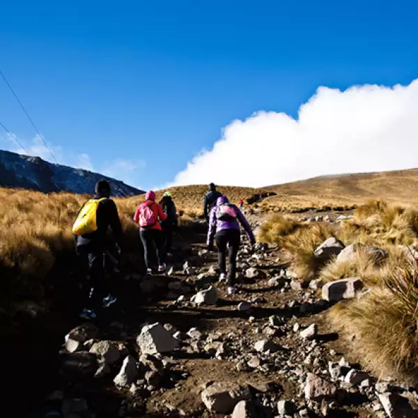 Caminata por el Nevado