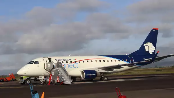 Sigue su vuelo