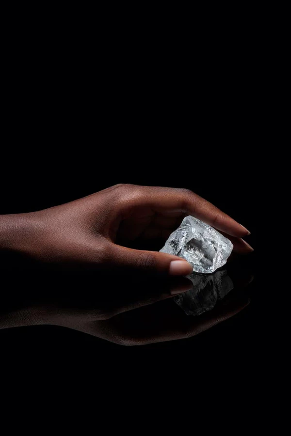 Foto: Louis Vuitton, diamante Sethunya