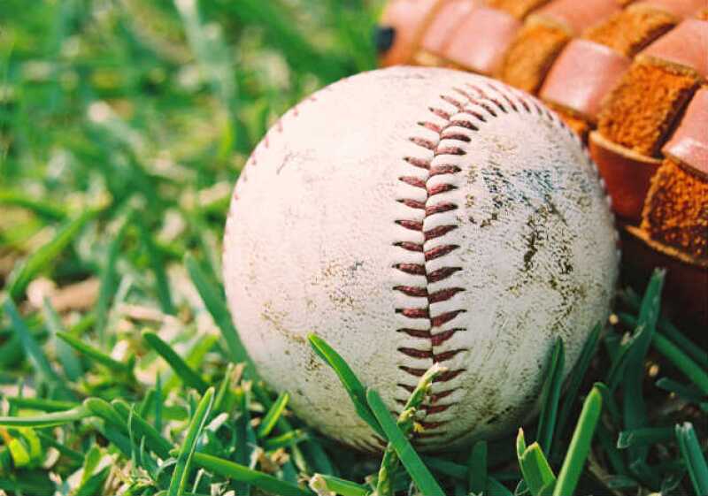 Pelota Beisbol