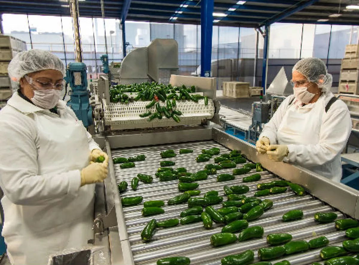 planta de Grupo Herdez