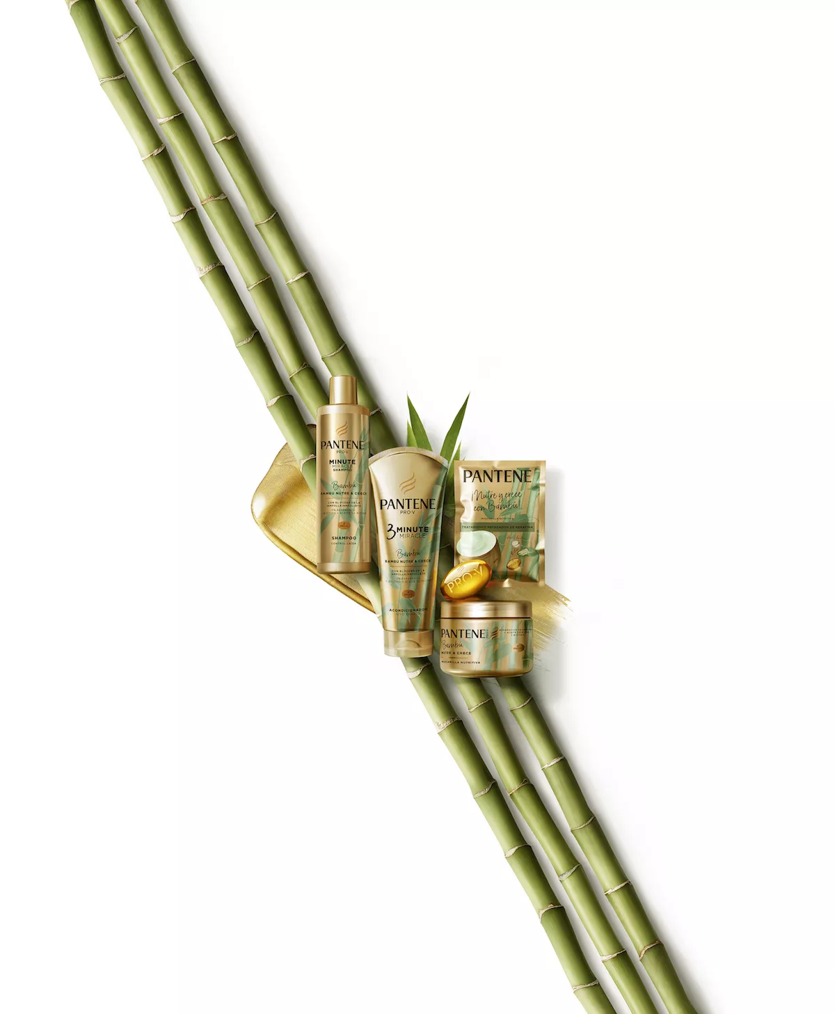 Bambú Nutre y Crece.jpg