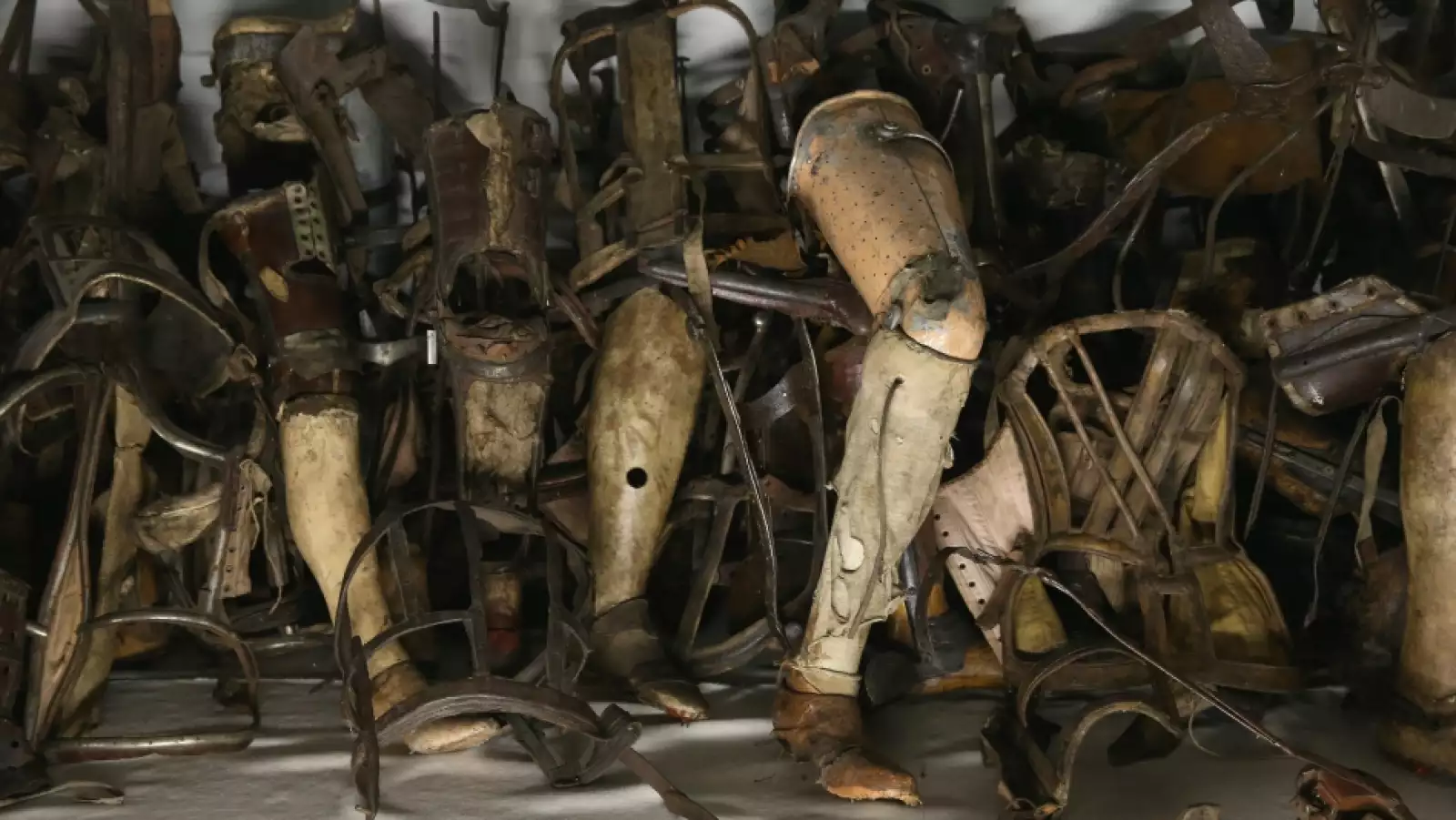 auschwitz 70 años 10