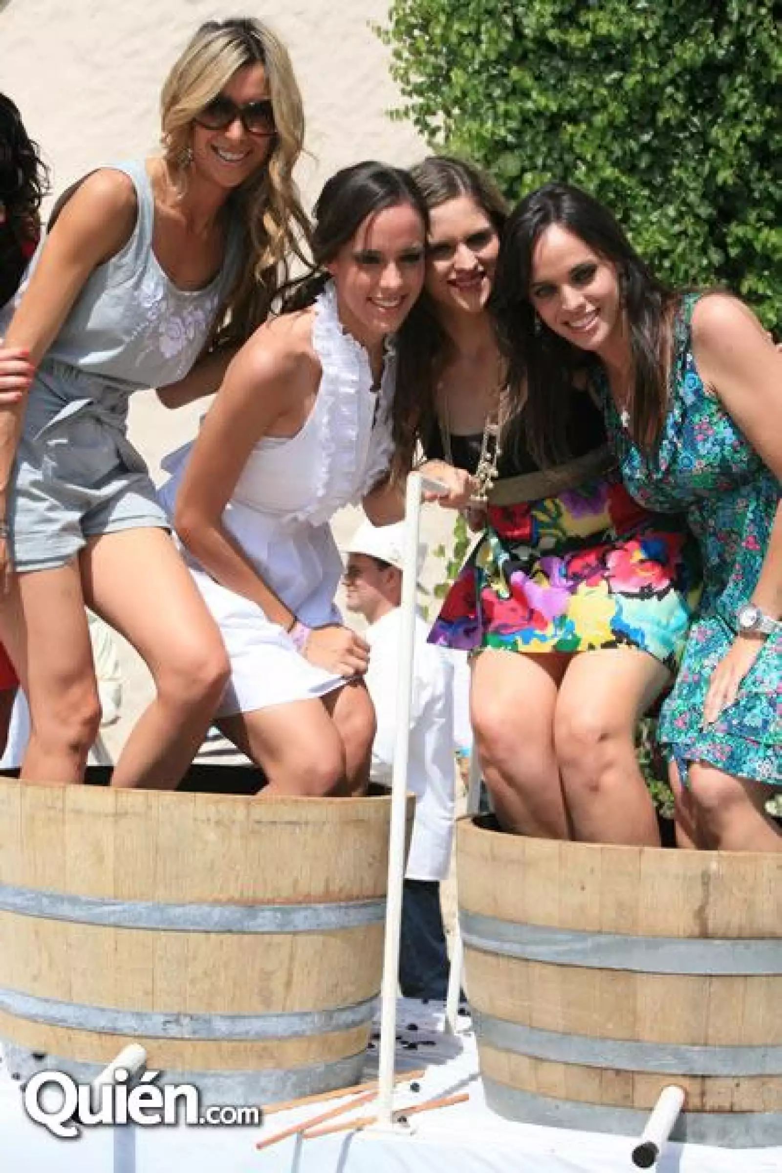 L A Cetto vendimia 2010