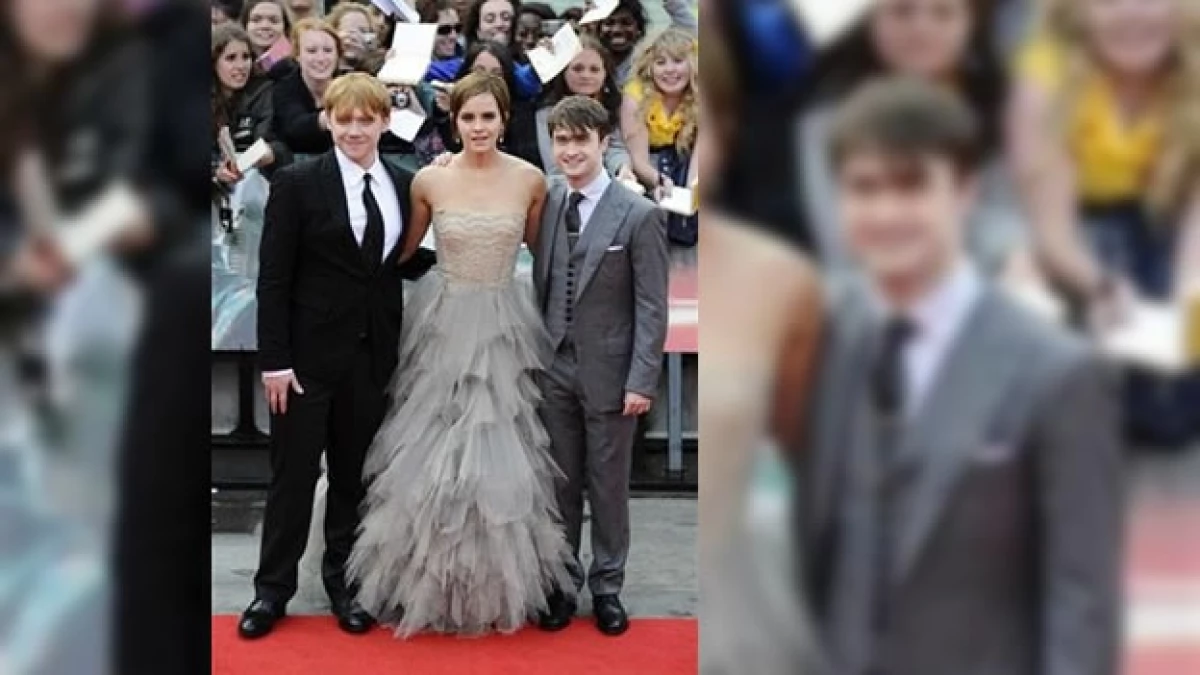 Harry Potter 8
