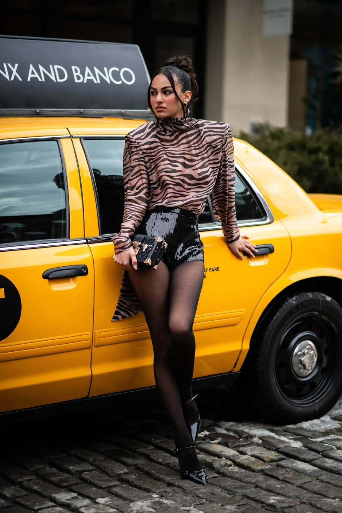 animal print.jpg