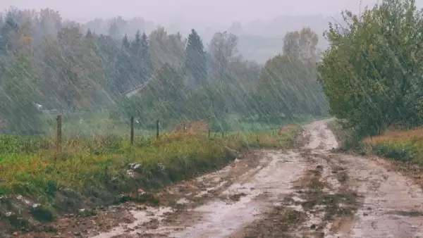 El fenómeno del petricor: ¿por qué huele tan bien cuando llueve?