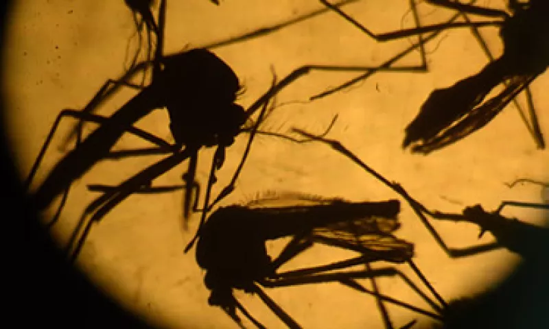 La OMS confirmó que 23 países de las Américas tienen el virus. (Foto: AFP)