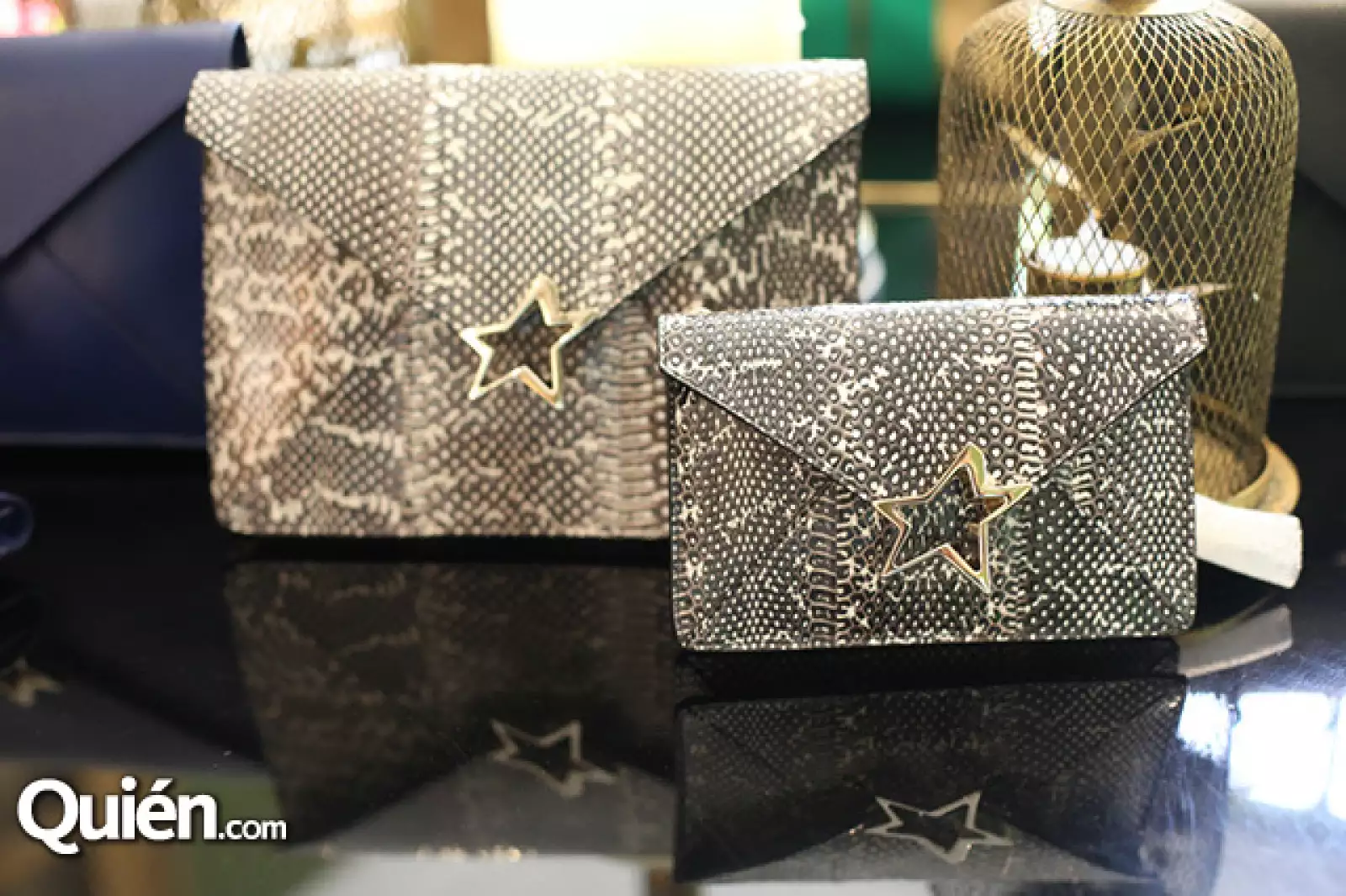 Aspecto Bolsas Corto Moltedo