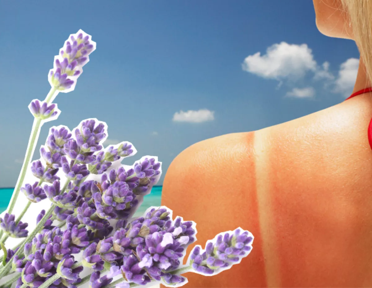 La lavanda tiene propiedades que ayudan a la piel a regenerarse después de una quemadura.