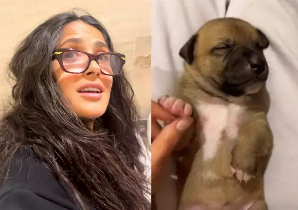 salma hayek perritos (3).png