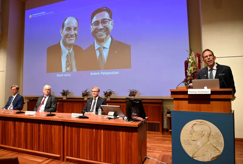 Thomas Perlmann (R), el Secretario del Comité Nobel, junto a una pantalla que muestra a los ganadores del Premio Nobel de Fisiología o Medicina 2021 David Julius (L) y Ardem Patapoutian, durante una conferencia de prensa en el Instituto Karolinska en Estocolmo, Suecia, el 4 de octubre de 2021.