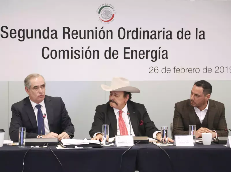 Comisión de Energía del Senado