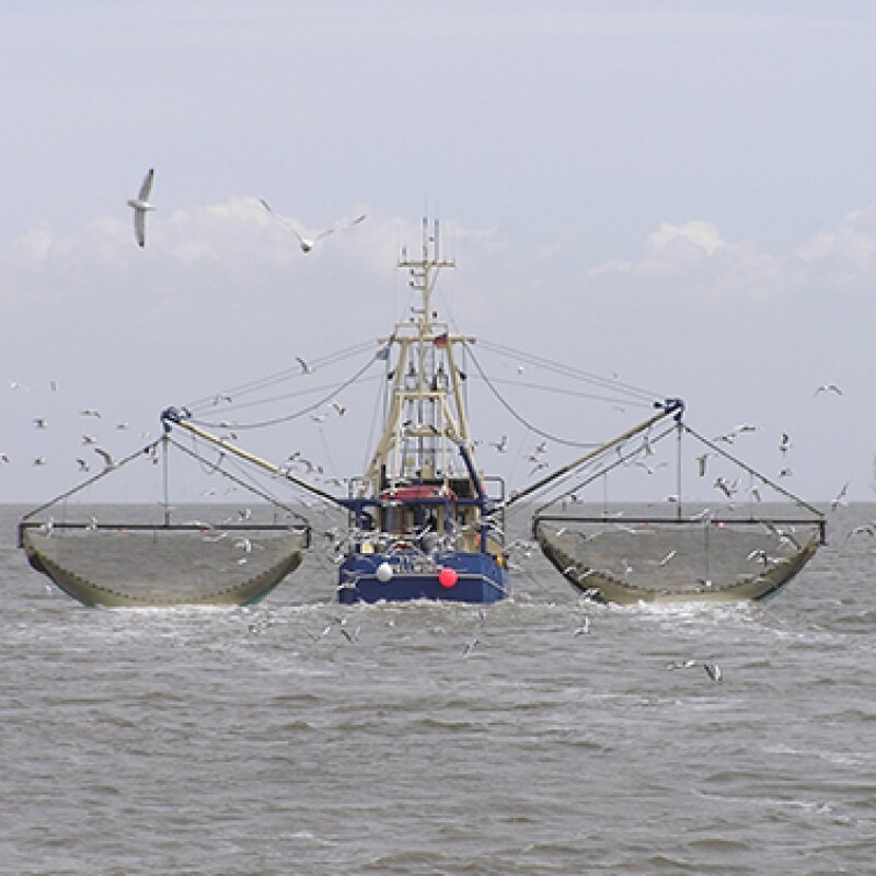 LOG-barco pesquero