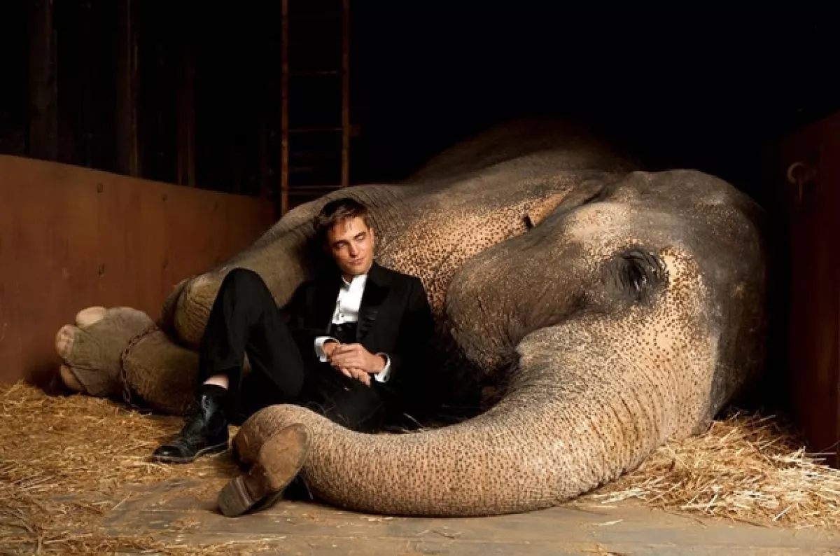 Aquí Robert con el elefante Tai, quien fue parte de su nueva película.